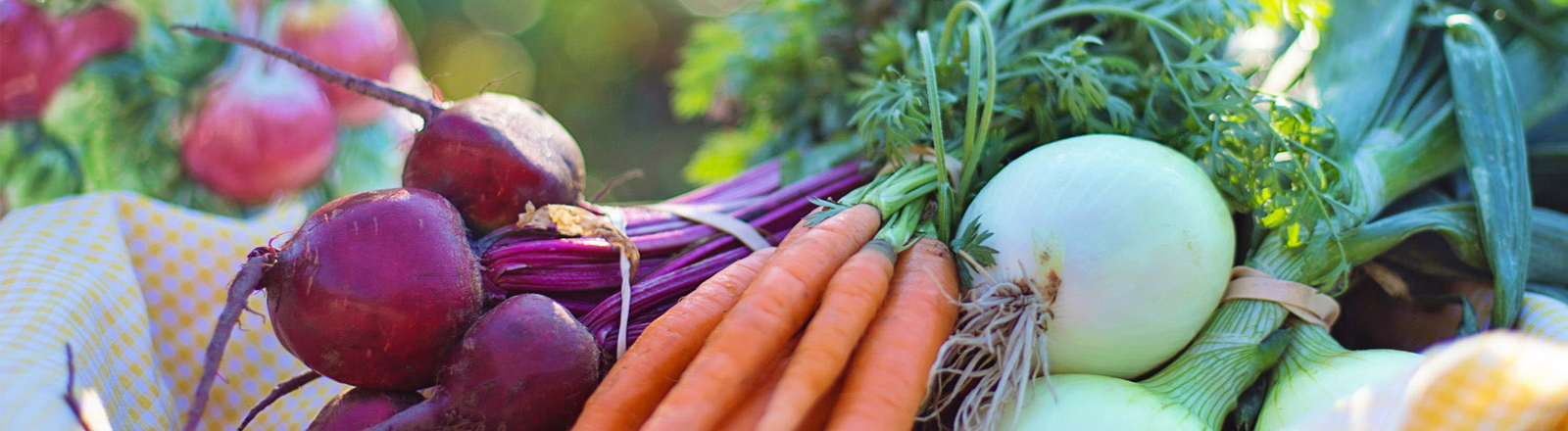 dietas de adelgazamiento bilbao fisioclinics dietas de adelgazamiento bilbao fisioclinics