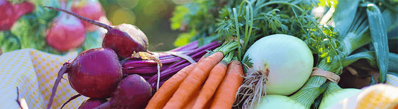 cabecera nutricion salud 