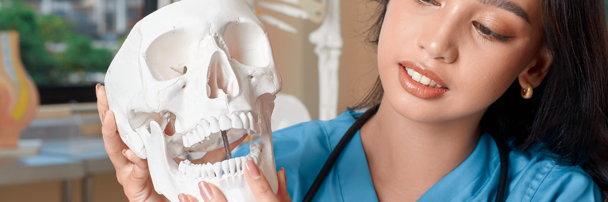 Fisioterapia Oclusal para el Bruxismo: Restaurando el Equilibrio y la Función Masticatoria