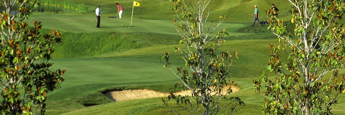 Golf Park La Moraleja acoge la jornada de la Liga Femenina RFGM: salud, precisión y liderazgo deportivo