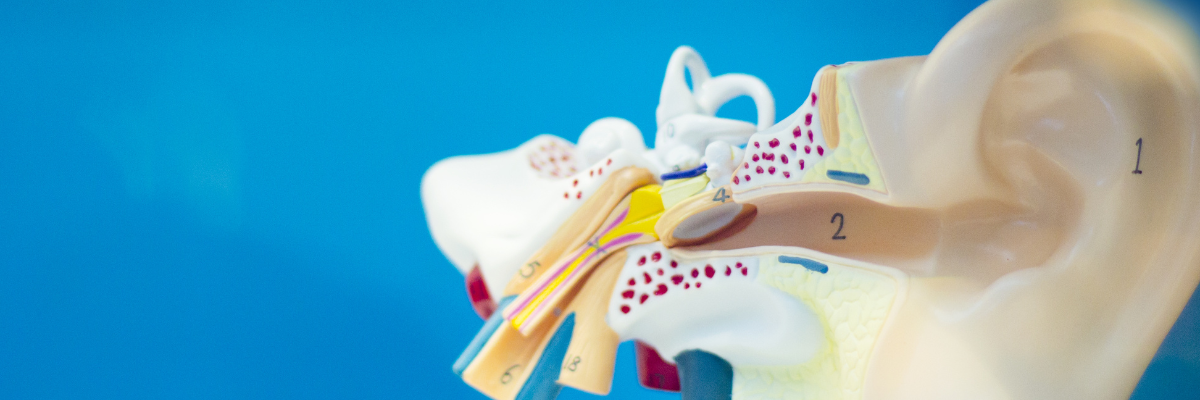 Rehabilitación vestibular en el manejo del Síndrome de Ménière avanzado