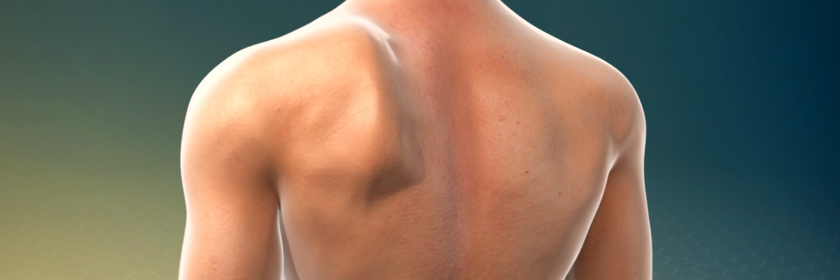 Ejercicios de retracción escapular 