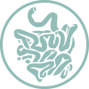 fisioterapia visceral